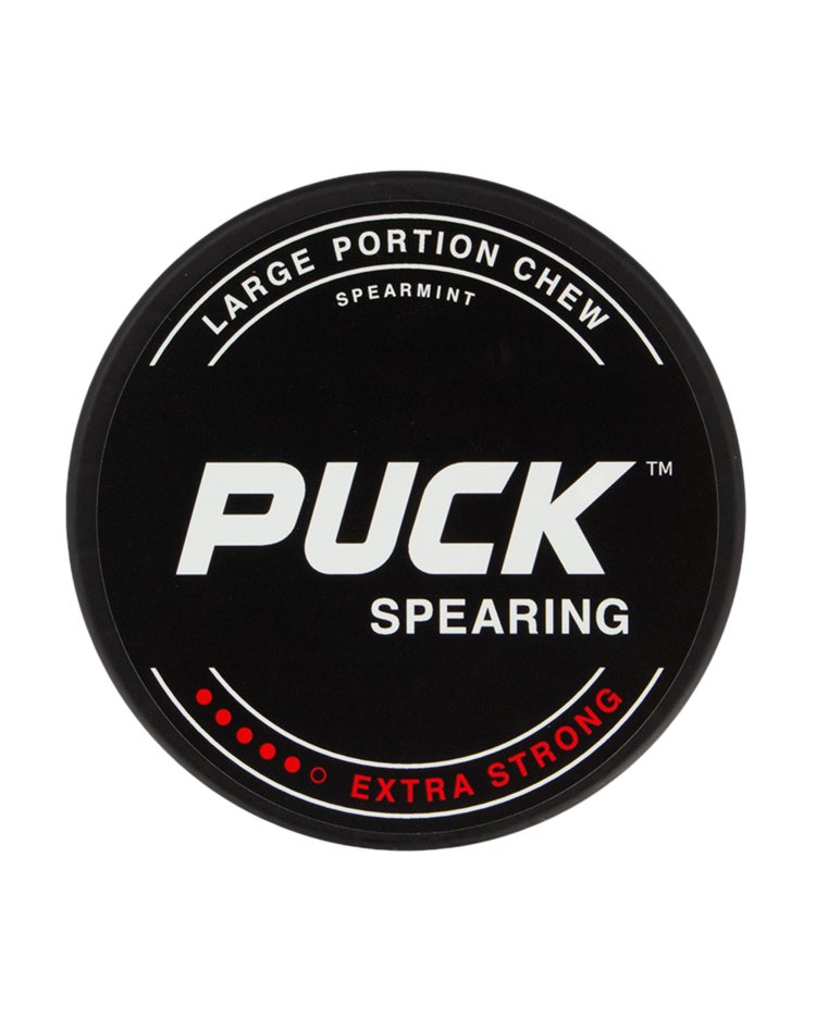 Puck Spearing